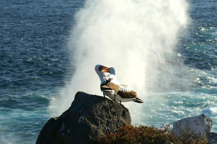 Islas Galápagos