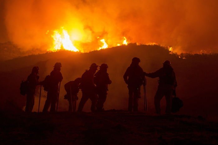 ¡Arde el bosque! 12 Ecología 13