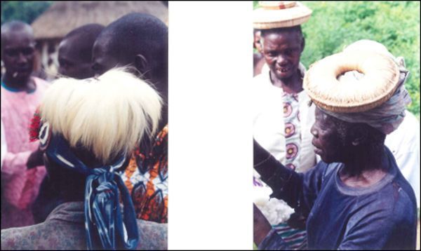 África 15